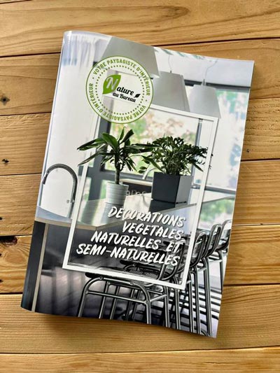 brochure nature au bureau location de plantes vertes