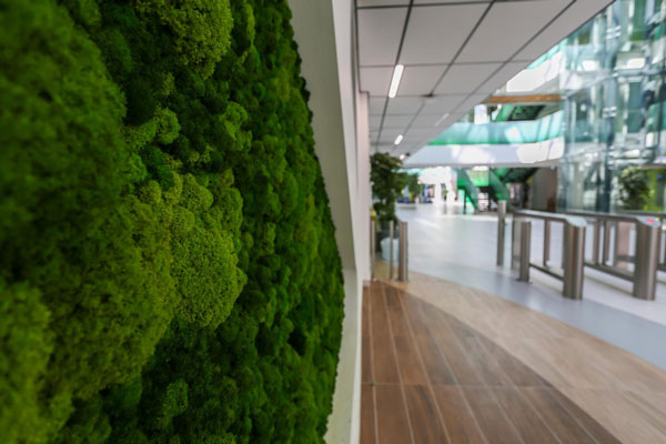 nature au bureau location de plante verte chez l'entreprise Airbus
