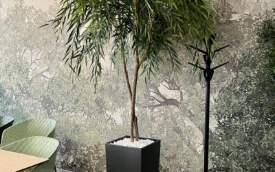 Scénographie végétale artificielle en restaurant