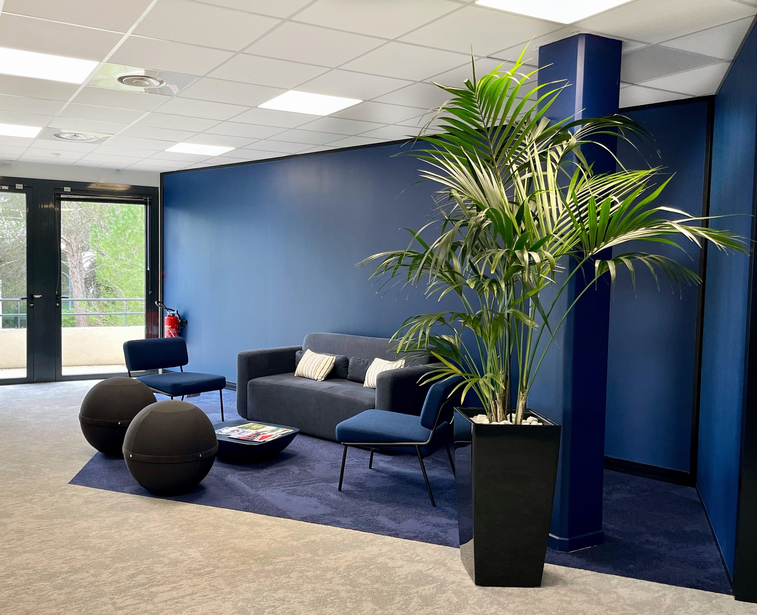 services de location de plantes des offres sur mesure